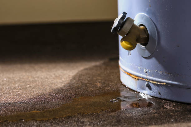 Best Flood restoration services  in Navesink, NJ