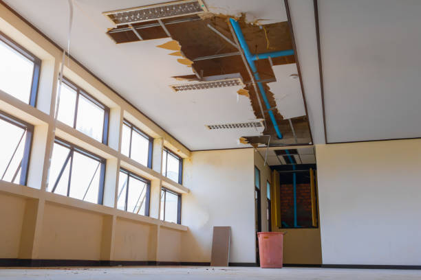 Best Water damage cleanup near me  in Navesink, NJ