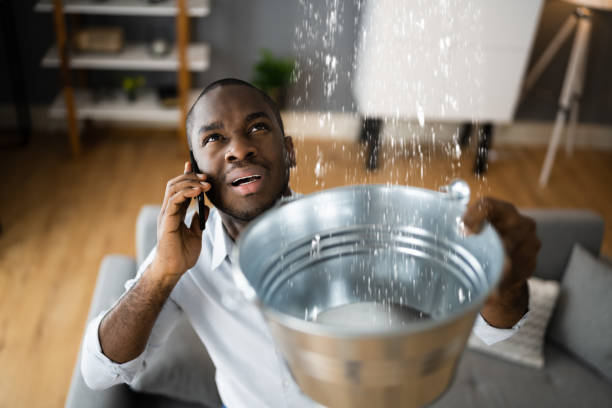 Best Water damage restoration specialists  in Navesink, NJ