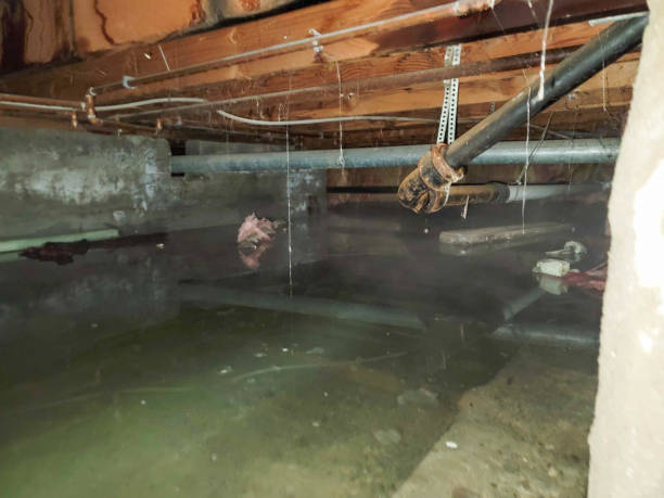 Best Water damage restoration near me  in Navesink, NJ