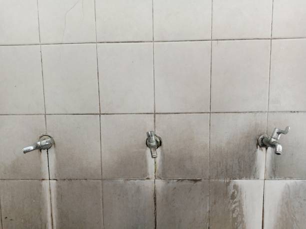 Best Mold removal after water damage  in Navesink, NJ