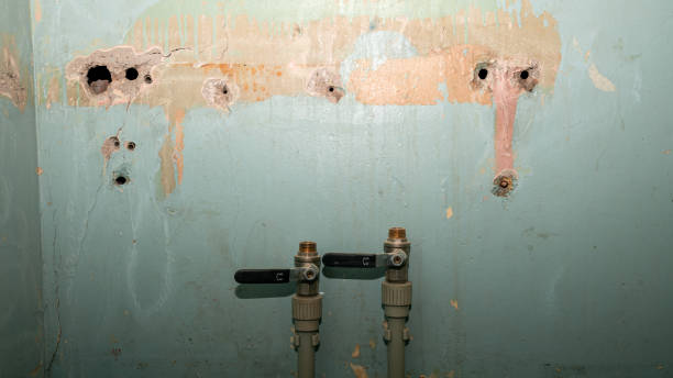 Best Professional water damage repair  in Navesink, NJ