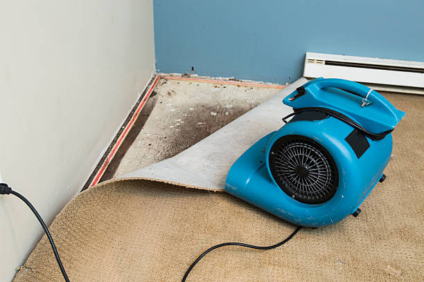 Best Emergency water damage restoration  in Navesink, NJ